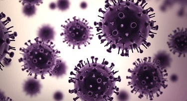 Flu-Associated Deaths