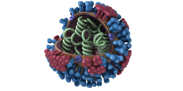 Tipos de virus de influenza