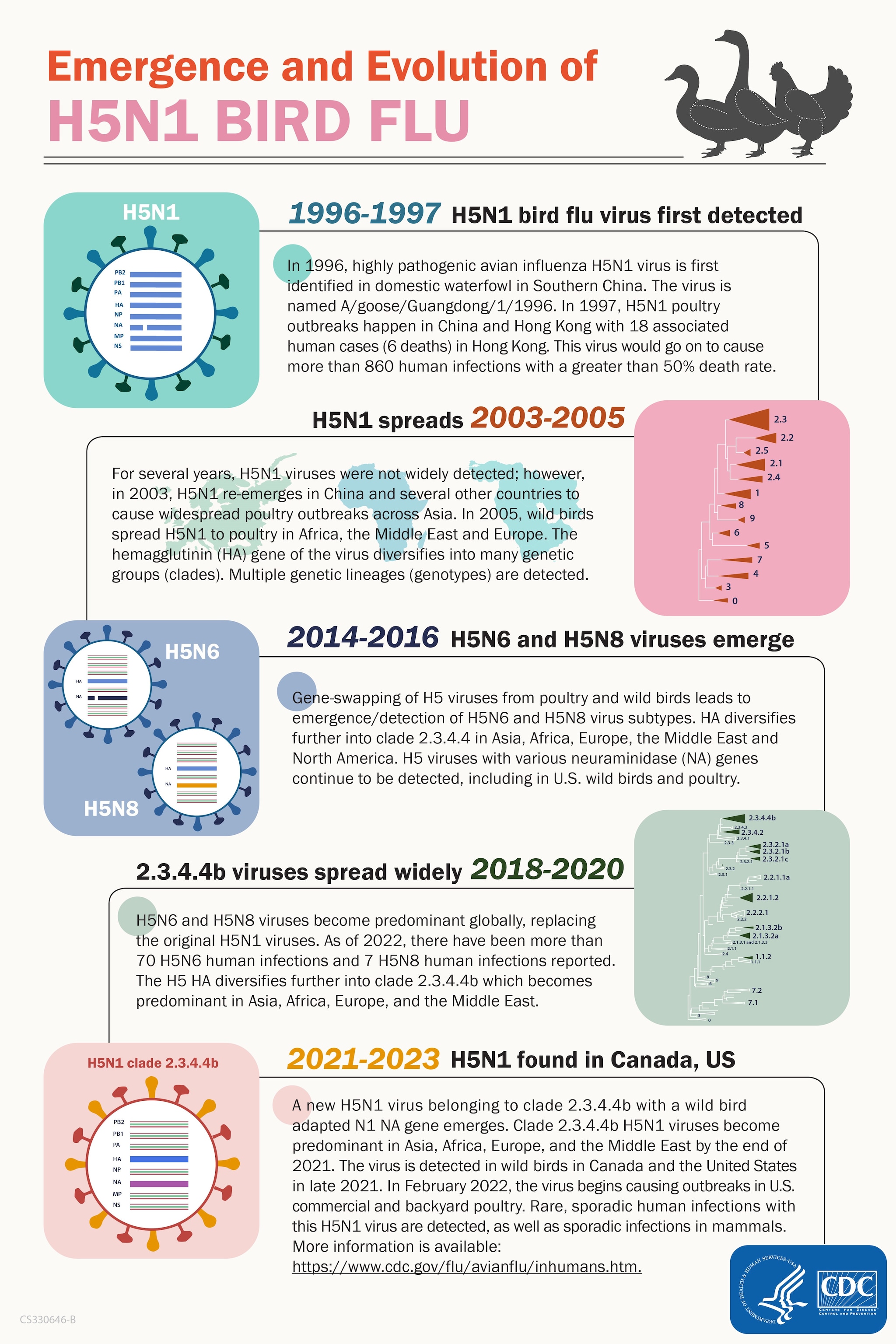 Emergence and Evolution of H5N1 Bird Flu PDF image