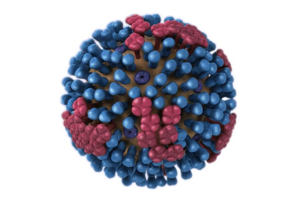 gráfico del virus de la influenza