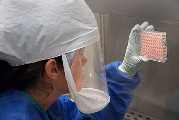Lab worker looking at samples