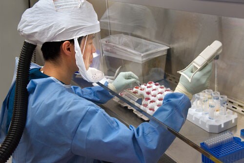 Un científico de los CDC recoge el virus H7N9 que se cultivó para compartir con laboratorios asociados con fines de investigación