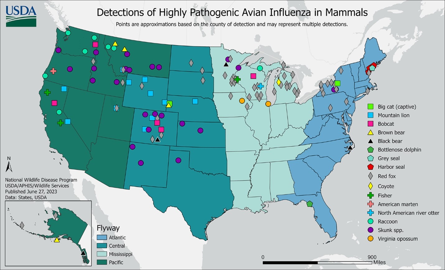 mapa de Detección de la forma altamente patógena de la influenza aviar en mamíferos en los Estados Unidos con puntos de diferentes colores para los diferentes mamíferos