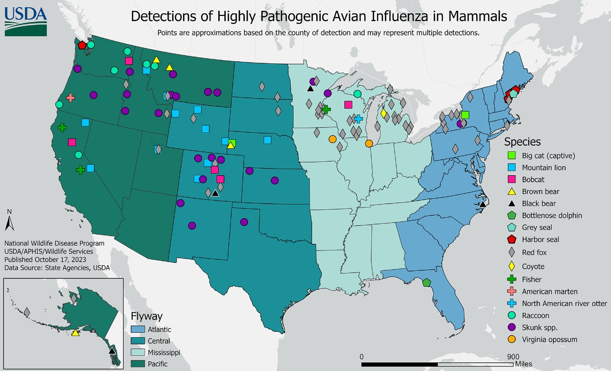 Detection of Highly Pathogenic Avian Influenza in Mammals