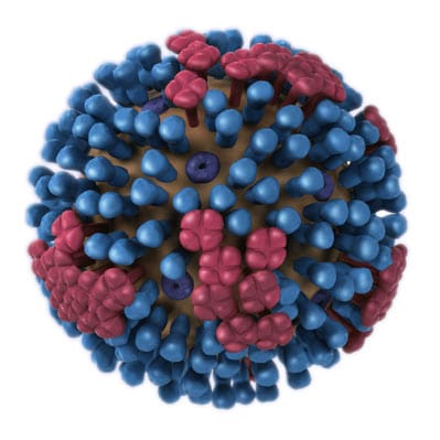 representación de un virus