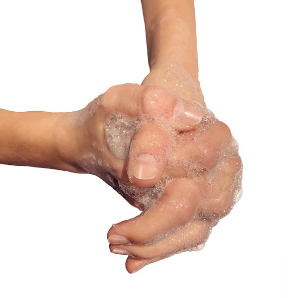 Use guantes para reducir al mínimo el contacto con aves silvestres o aves de corral enfermas o muertas y lávese las manos con agua y jabón después de tocarlas. Si tiene a su disposición, use protección respiratoria, como una mascarilla de uso médico.
