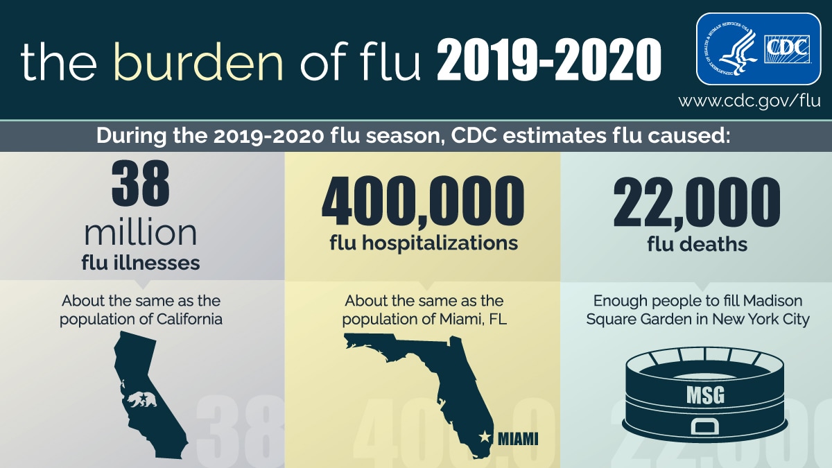 the burden flu 2019-2020