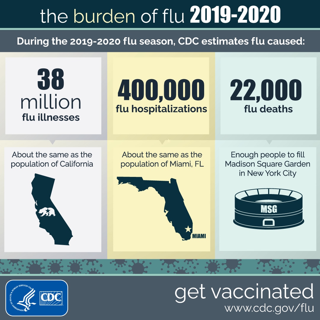 The Burden of Flu: 2019-2020