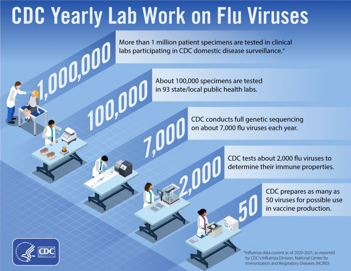CDC Yearly Lab Work on Flu Viruses Infographic