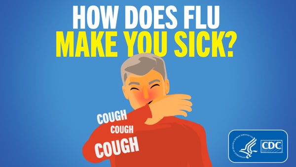 How does flu make you sick? 