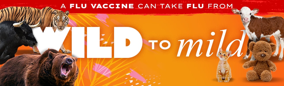 pez globo con el texto: "La vacuna contra la influenza puede calmar a la bestia #CombateLaInfluenza" y logo de los CDC