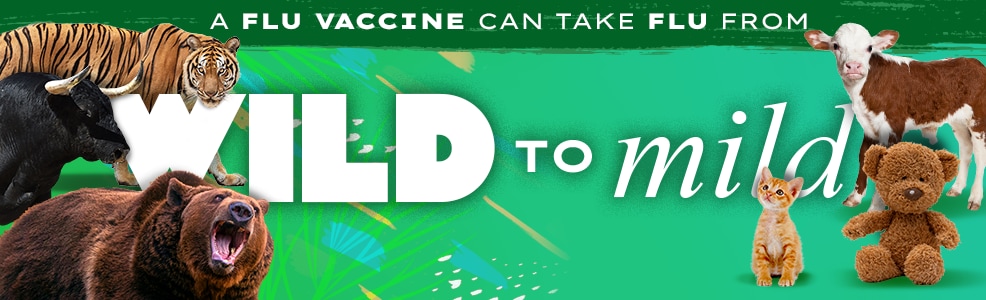 La vacuna contra la influenza puede calmar a la bestia