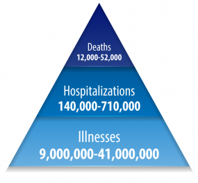 pyramid of flu data
