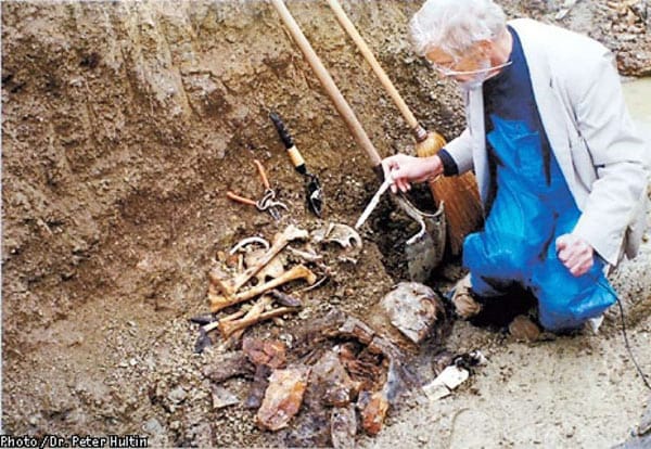 A picture of Johan Hultin excavating a body from the Brevig Mission burial ground. His wife’s garden shears, which Hultin borrowed to conduct the excavation, are shown in the center of the picture. Photo Credit: Johan Hultin.