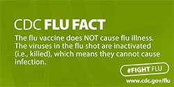 Datos de los CDC sobre la influenza