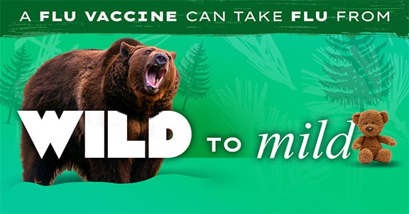 un oso pardo de fondo con un texto que dice: la vacuna contra la influenza puede calmar a la bestia