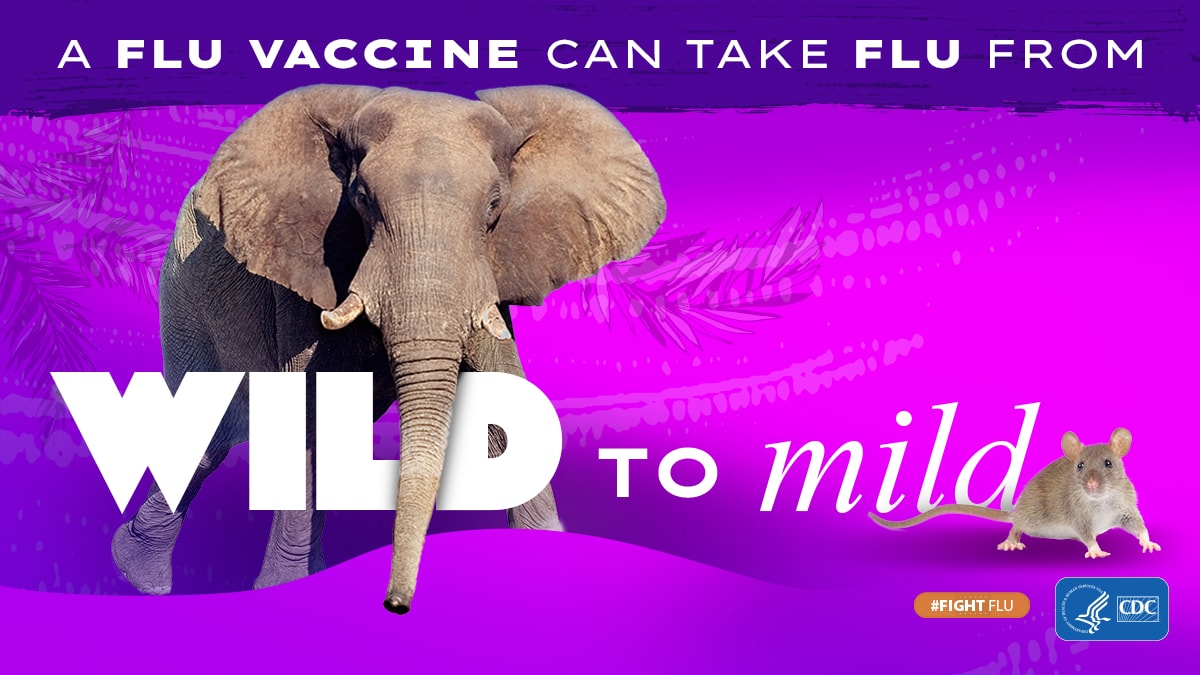 elefante con el texto: La vacuna contra la influenza puede calmar a la bestia #CombateLaInfluenza Logotipo de los CDC