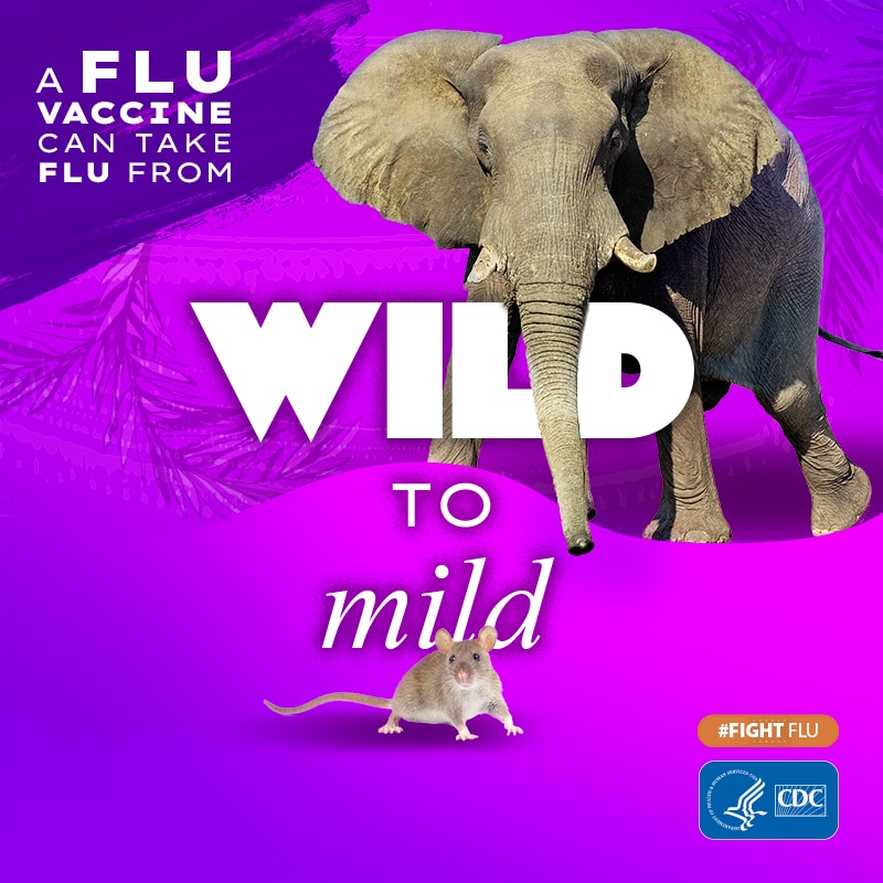 elefante con el texto: La vacuna contra la influenza puede calmar a la bestia #CombateLaInfluenza Logotipo de los CDC