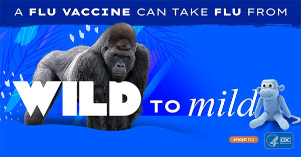 un gorila adulto de fondo con un texto que dice: la vacuna contra la influenza puede calmar a la bestia #CombateLaInfluenza Logotipo de los CDC