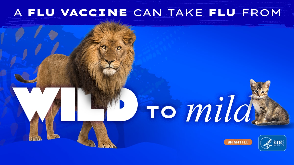 león con el texto: La vacuna contra la influenza puede calmar a la bestia #CombateLaInfluenza Logotipo de los CDC