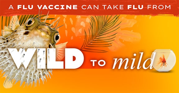 un pez globo de fondo con un texto que dice: la vacuna contra la influenza puede calmar a la bestia