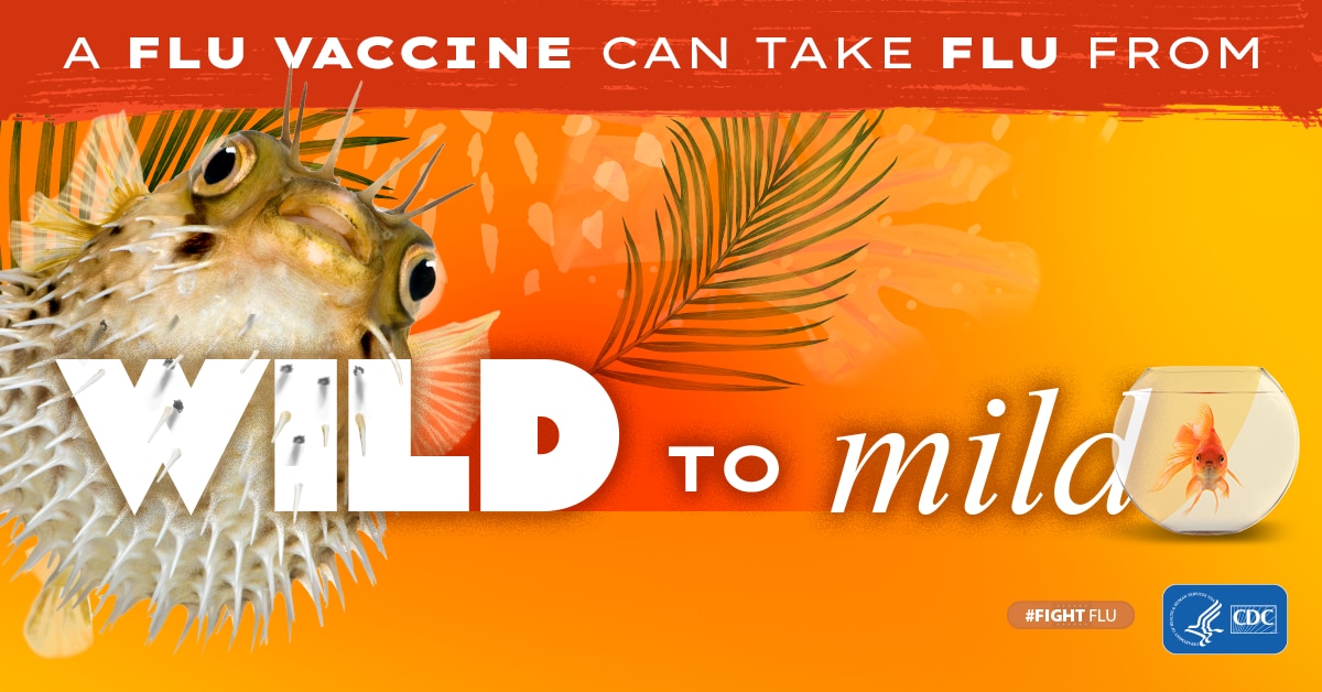 pez globo con el texto: La vacuna contra la influenza puede calmar a la bestia #CombateLaInfluenza Logotipo de los CDC