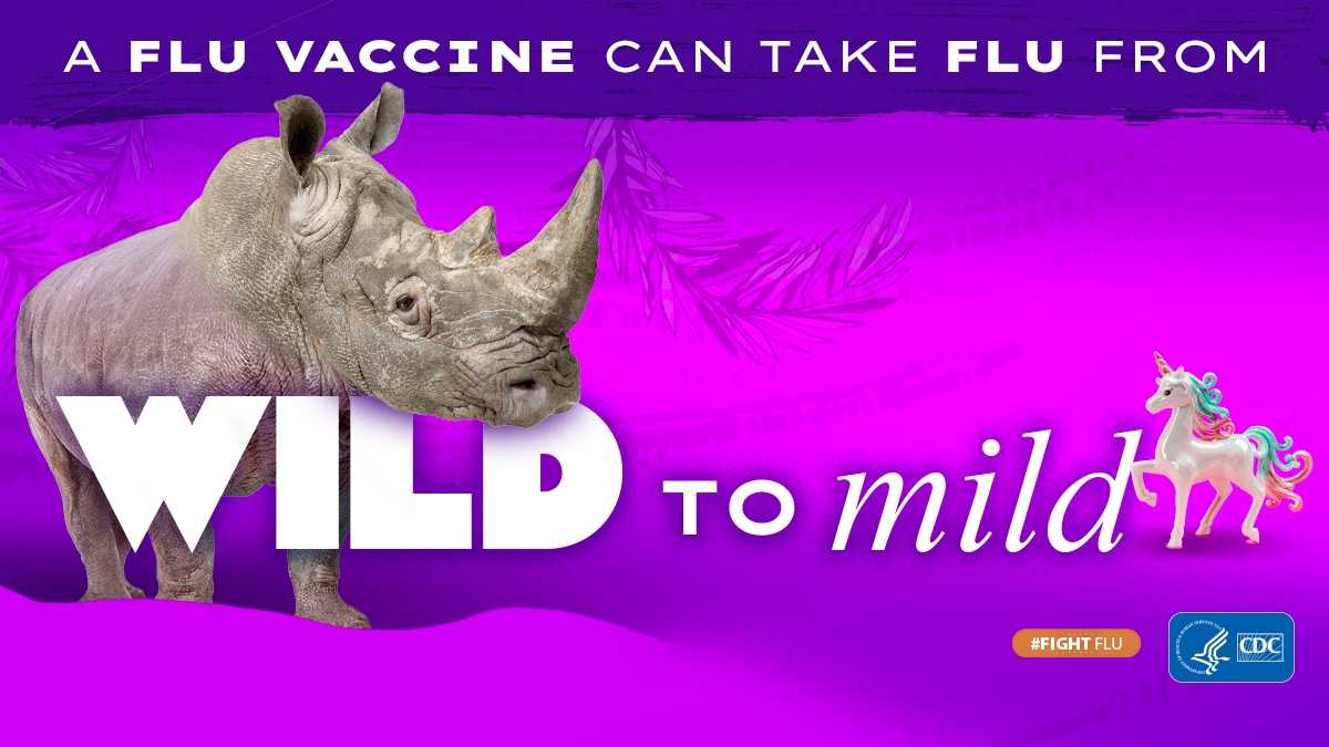 rinoceronte con el texto: La vacuna contra la influenza puede calmar a la bestia #CombateLaInfluenza Logotipo de los CDC