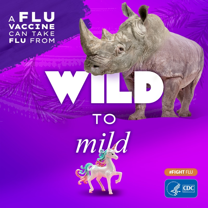 rinoceronte con el texto: La vacuna contra la influenza puede calmar a la bestia #CombateLaInfluenza Logotipo de los CDC
