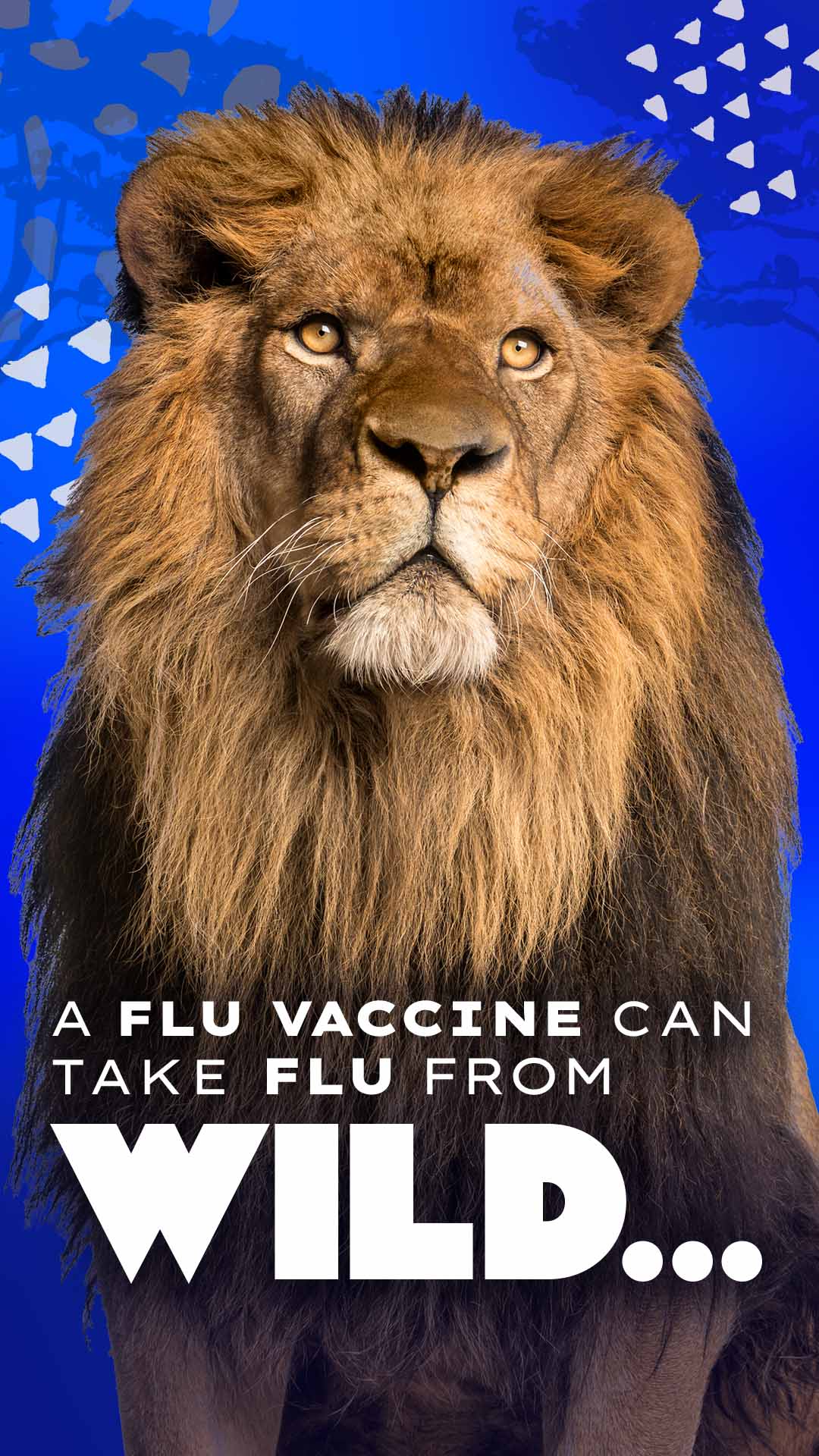 A flu vaccine can take flu from wild