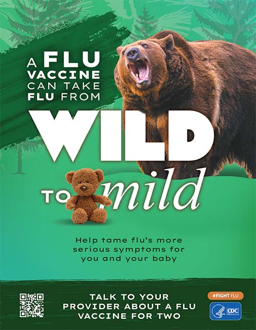 thumbnail for Bear Wild to Mild poster