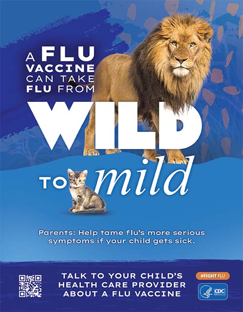 thumbnail for Mild to Wild Lion - Parents Poster