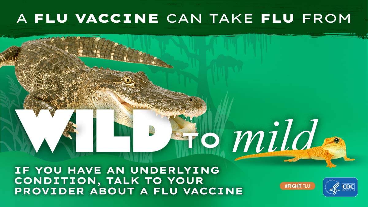 Cocodrilo y geco con el texto: La vacuna contra la influenza puede calmar a la bestia. Si tiene una afección subyacente, consulte con su proveedor acerca de la vacuna contra la influenza. #CombateLaInfluenza Logotipo de los CDC