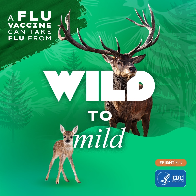 Ciervo canadiense y cervatillo con el texto: Una vacuna contra la influenza puede calmar a la bestia. #CombateLaInfluenza, logo de los CDC