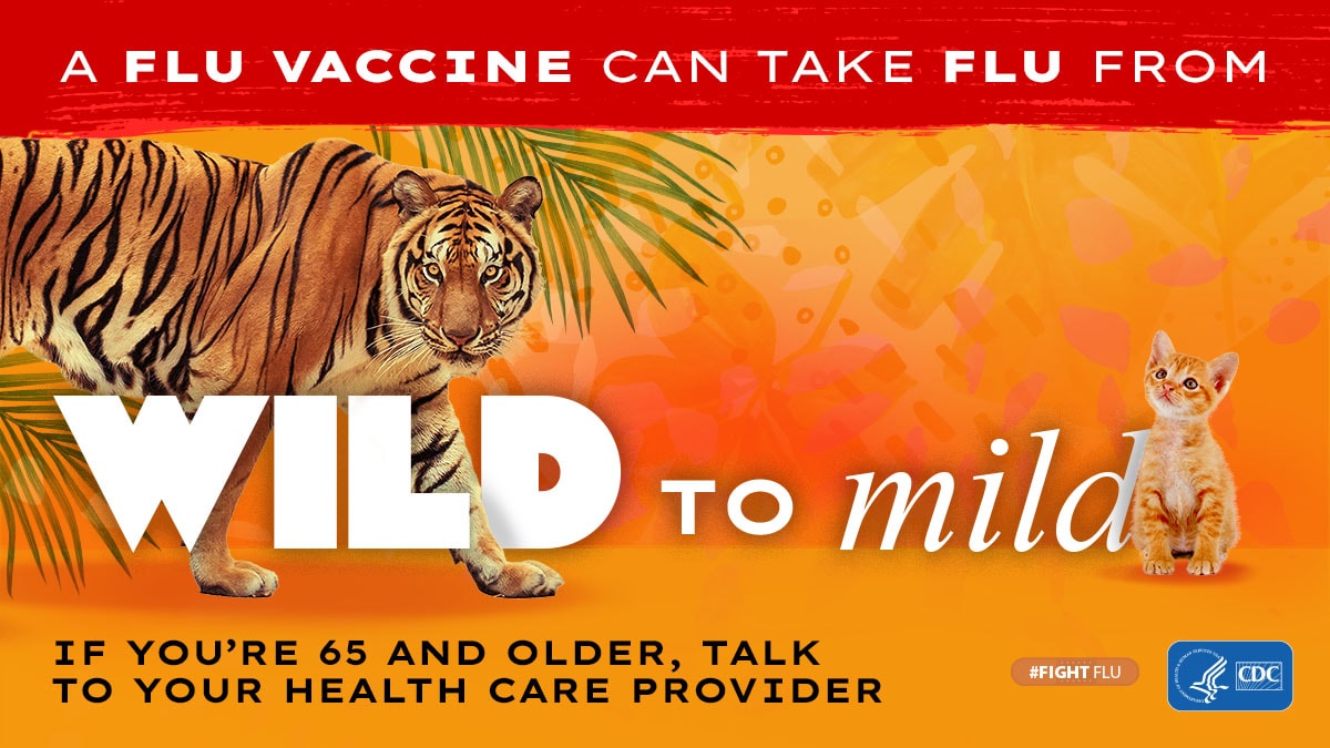 Tigre y gatito con el texto: La vacuna contra la influenza puede calmar a la bestia. Si tiene 65 años de edad o más, consulte con su proveedor de atención médica. #CombateLaInfluenza Logotipo de los CDC