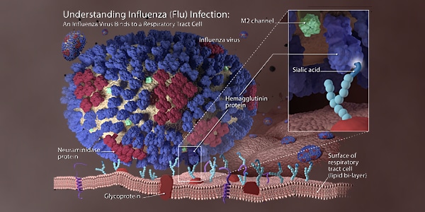 Seasonal Flu Vaccine Effectiveness No Data Available ile ilgili görsel sonucu