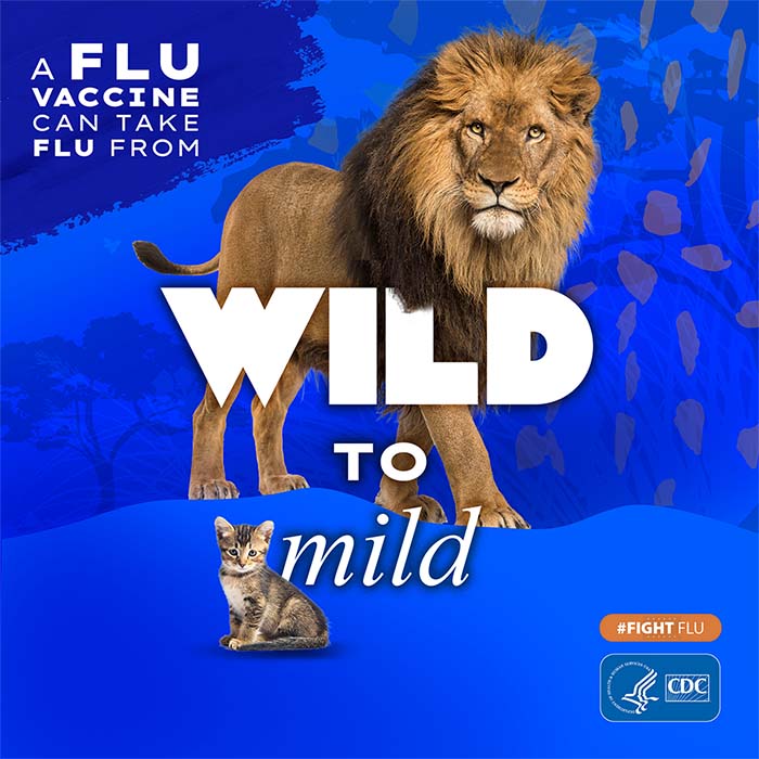 Lion and kitten with text: A flu vaccine can take flu from wild to mild #fightflu CDC logo