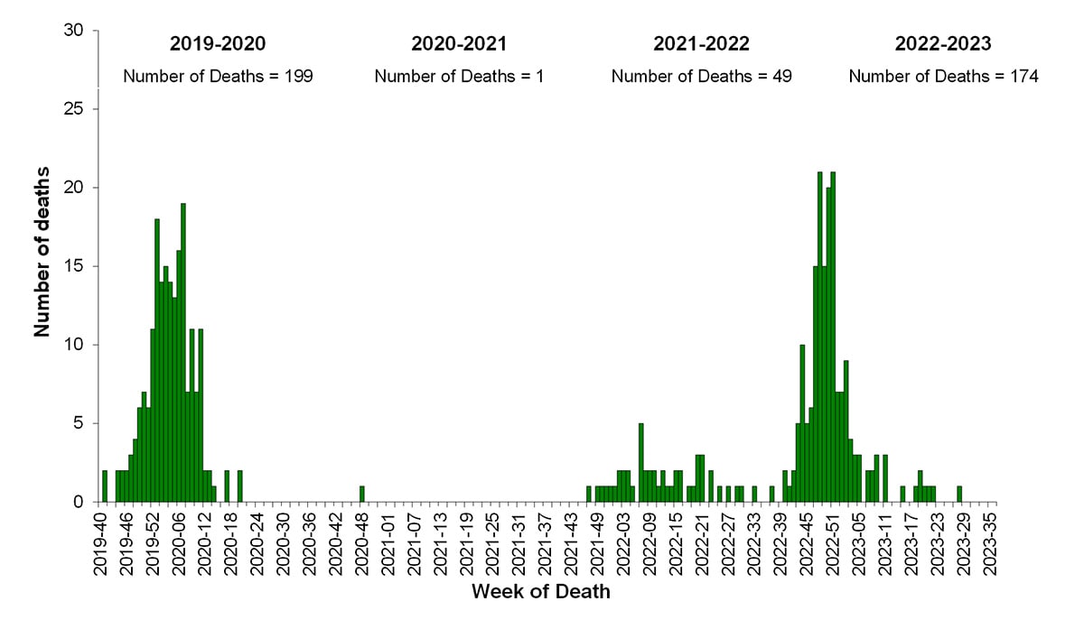 Figura 12. Cantidad de muertes pediátricas asociadas a la influenza por semana de muerte, temporadas 2019-20 a 2022-23