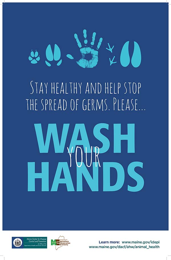 poster stay healthy and stop germs please wash your hands