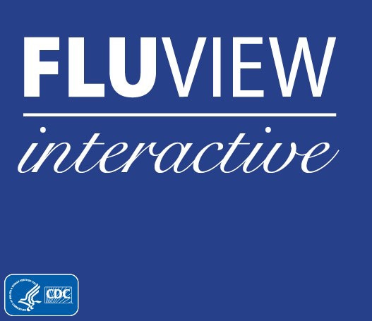fluview interactive