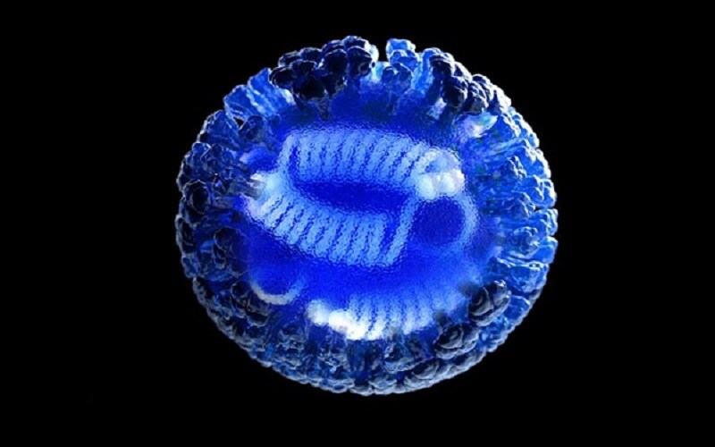 A three-dimensional computer-generated rendering of a whole influenza virus in semi-transparent blue with a black background.
