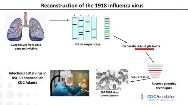 This image shows the order of events leading up to the reconstruction of the 1918 virus by Dr. Terrence Tumpey within CDC’s biosecurity level 3 enhanced laboratory. 