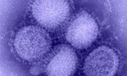 Nuevo virus de la influenza tipo A (H1N1).