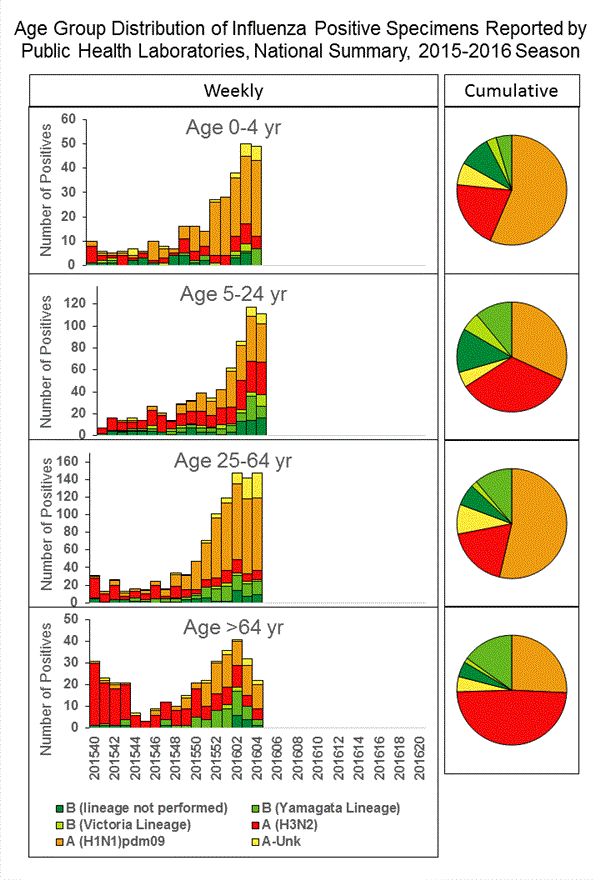 INFLUENZA Virus Isolated