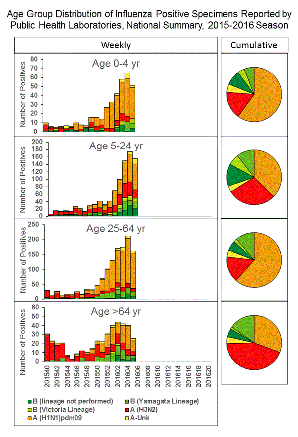 INFLUENZA Virus Isolated