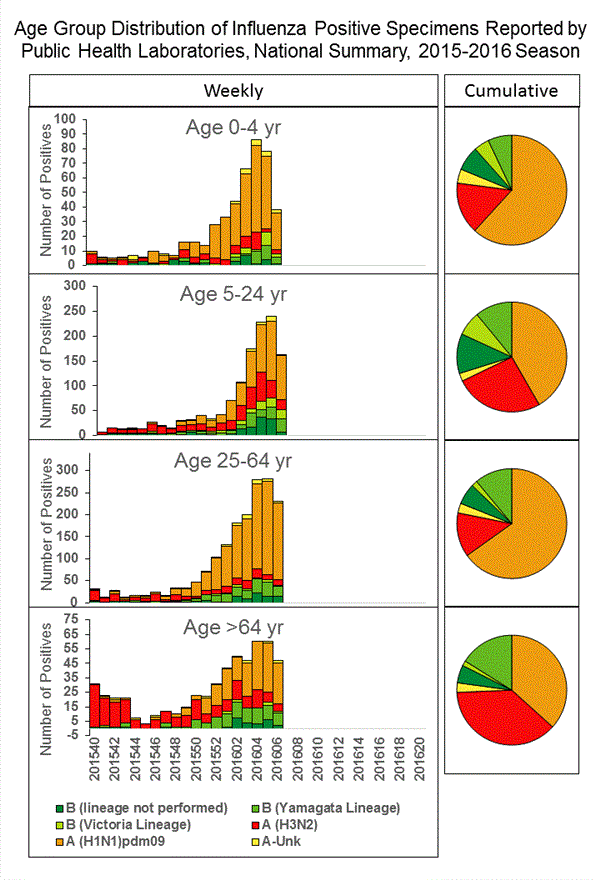 INFLUENZA Virus Isolated