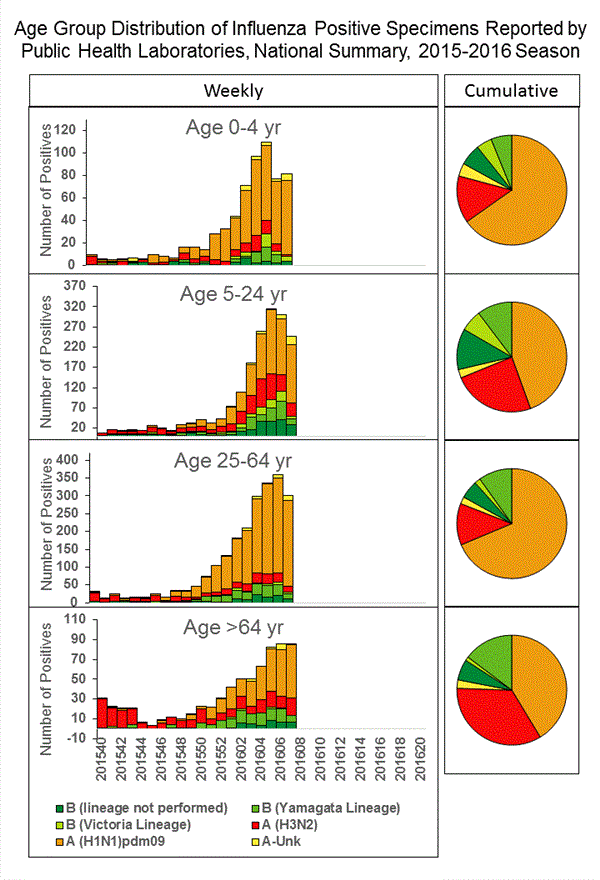 INFLUENZA Virus Isolated