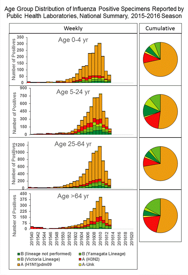 INFLUENZA Virus Isolated