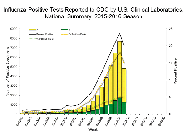 INFLUENZA Virus Isolated