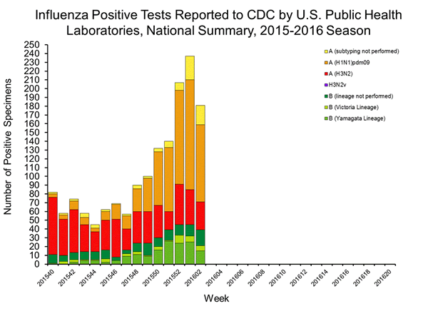 INFLUENZA Virus Isolated