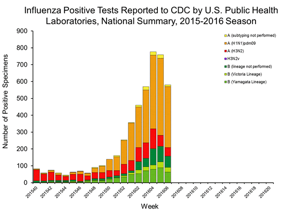 INFLUENZA Virus Isolated